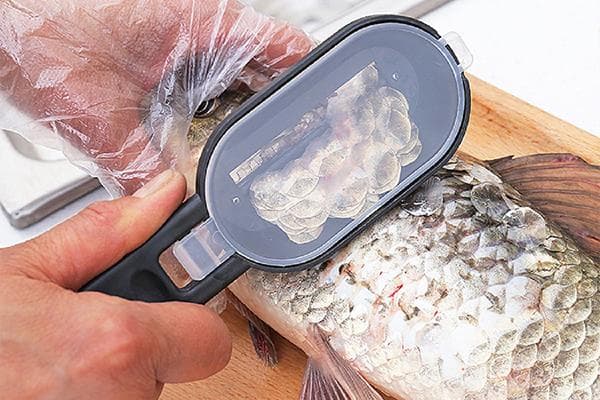 Fischschupper mit Behälter