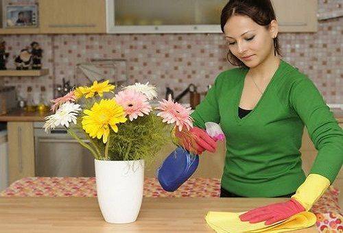 junge Frau wischt Staub