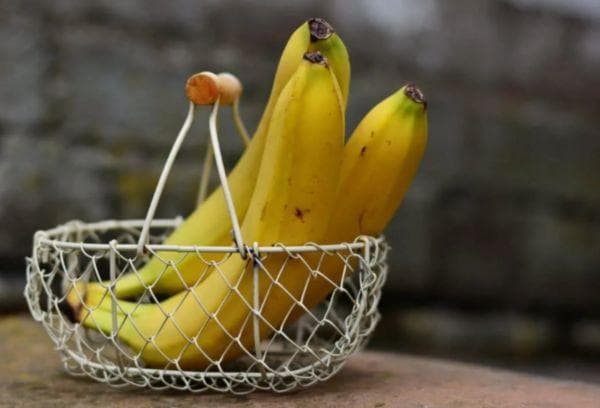 Bananen im Netz