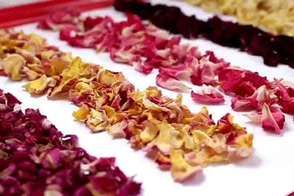 Getrocknete Rosenblütenblätter