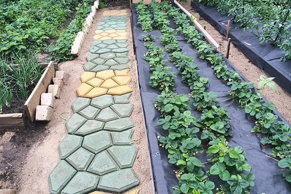 Tragbarer Kunststoffweg für den Gemüsegarten