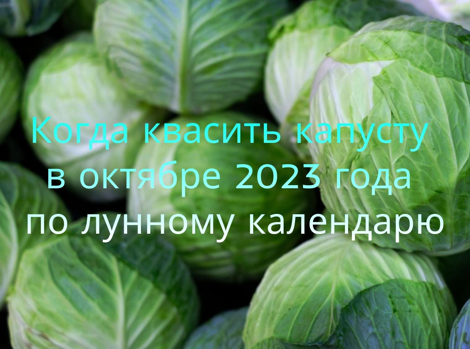 Wann soll man Kohl im Oktober 2023 nach dem Mondkalender fermentieren?