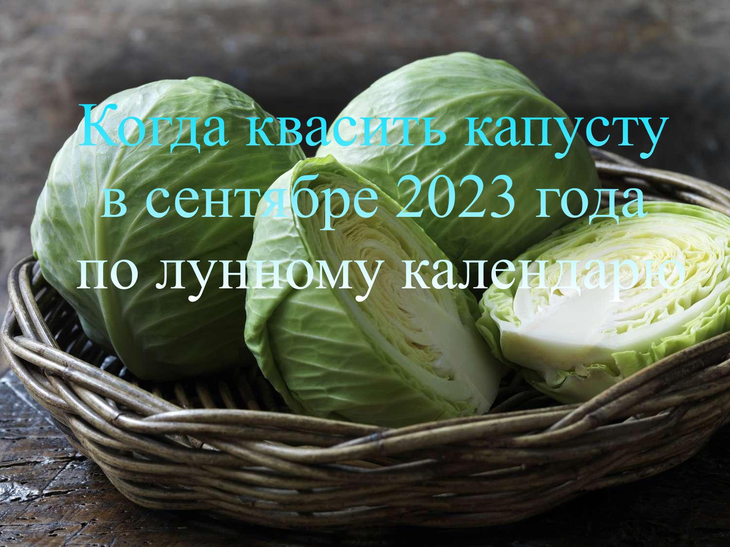 Wann sollte man im September 2023 nach dem Mondkalender Kohl fermentieren?