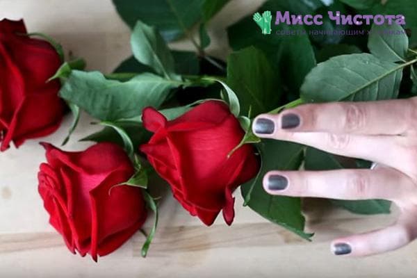 Rote Rosen aus dem Strauß