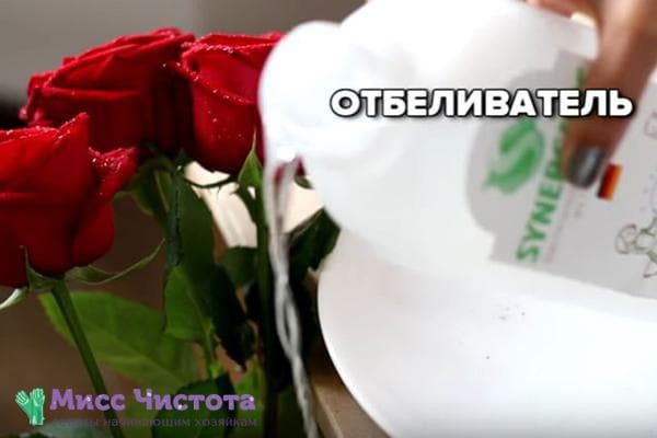 Bleichmittel für Rosen in der Vase