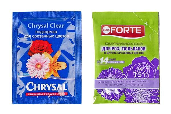 Spezielle Nährstoffe für Schnittblumen in der Vase