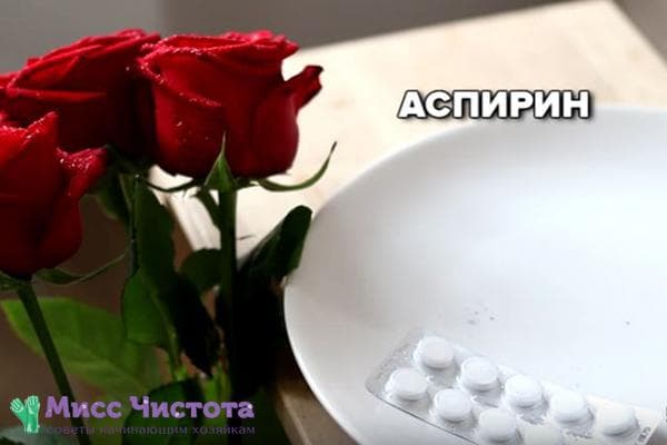 Aspirin für Rosen in der Vase