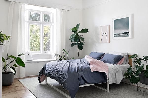 Zimmerpflanzen im Schlafzimmer