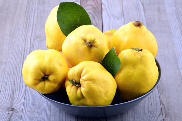 Quittenfrüchte