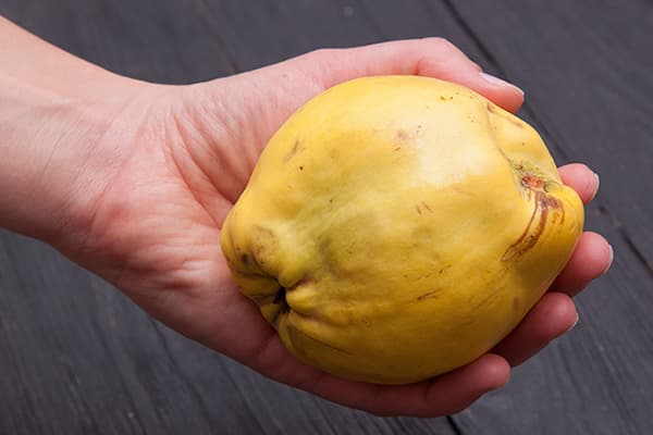 Eine Frau hält eine Quittenfrucht