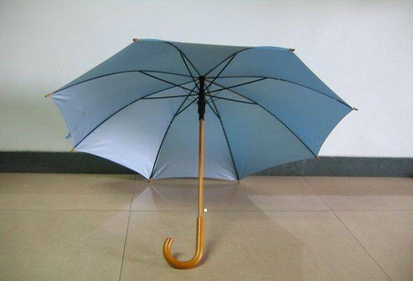 Regenschirm