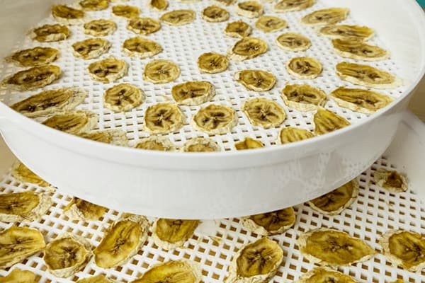 Bananenchips im elektrischen Dörrgerät