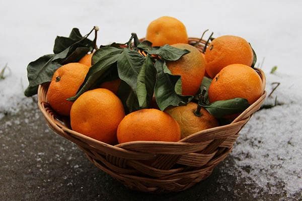 Mandarinen in einer geflochtenen Vase