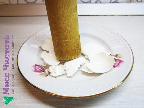 Eierschale zerkleinern