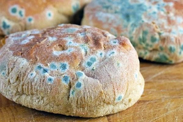 Brot mit Schimmel
