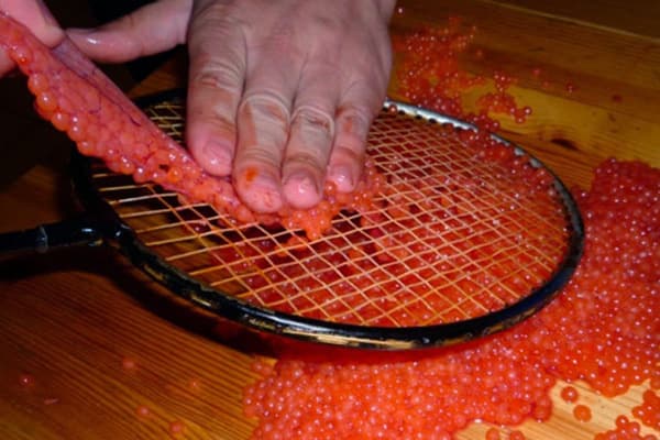 Abtrennen des Rogens von der Haut mit einem Badmintonschläger