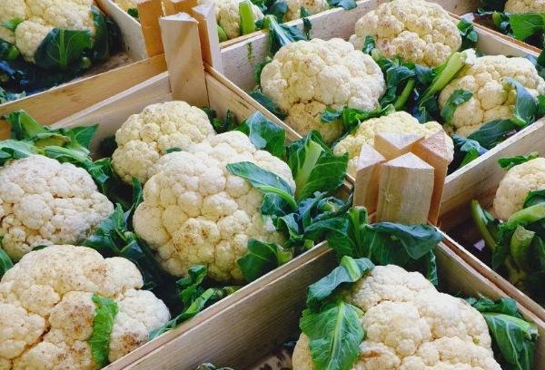 Blumenkohl in Kisten