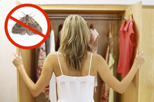 Motten im Kleiderschrank