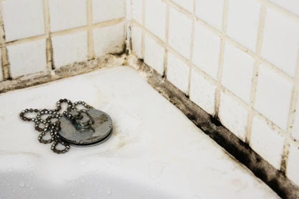 Schimmel im Badezimmer