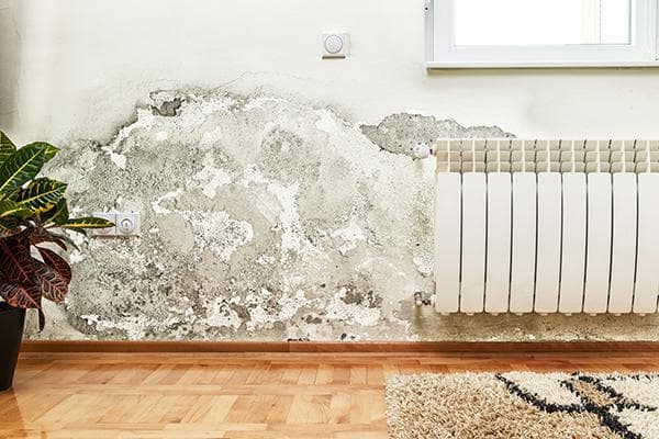 Schimmel an der Wand in der Wohnung