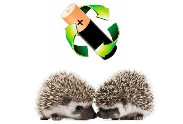 Aktion 'Rette den Igel'