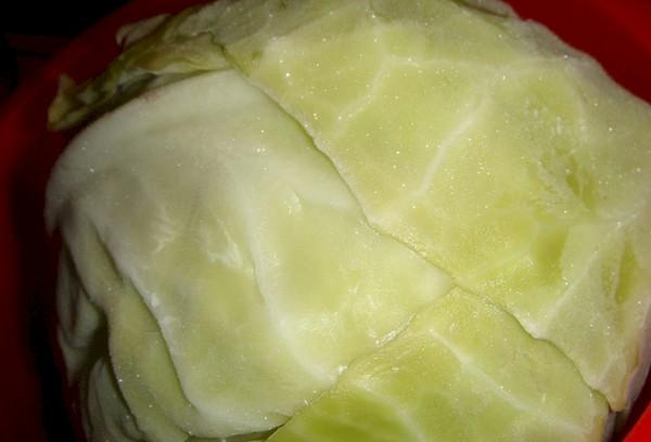 Eingefrorener Kohl