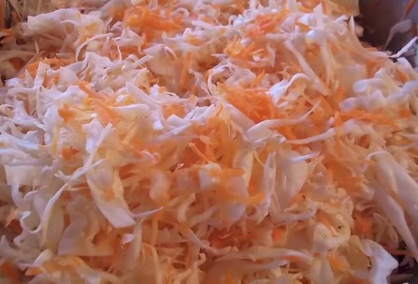 Gehobeltes Kraut und Möhren