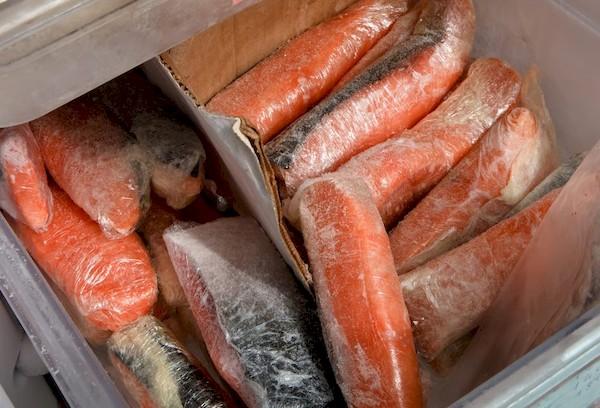 Gefrorener Fisch im Gefrierschrank