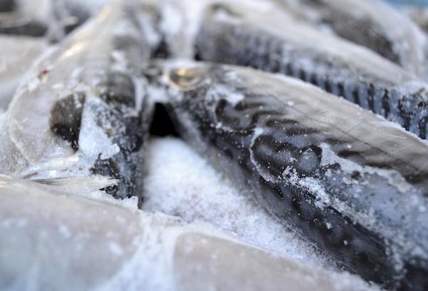 Fisch aus der Tiefkühlung