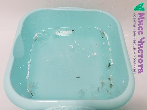 Schüssel mit Wasser und Abfall