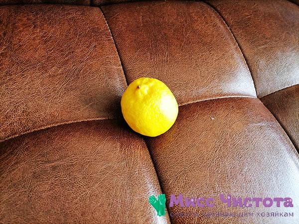 Zitrone auf dem Sofa