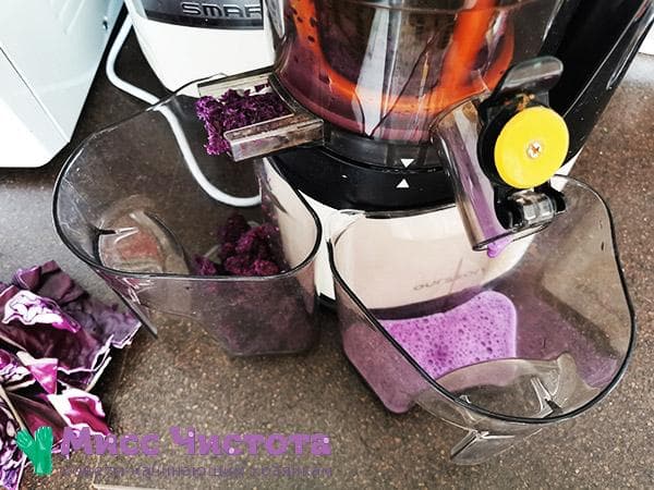 Kohlsaft im Mixer