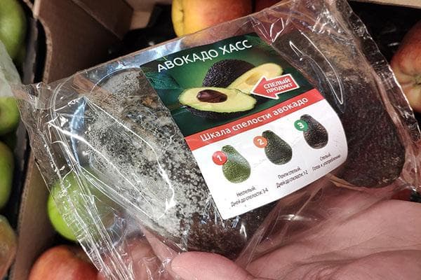 Reifegrade der Hass-Avocado