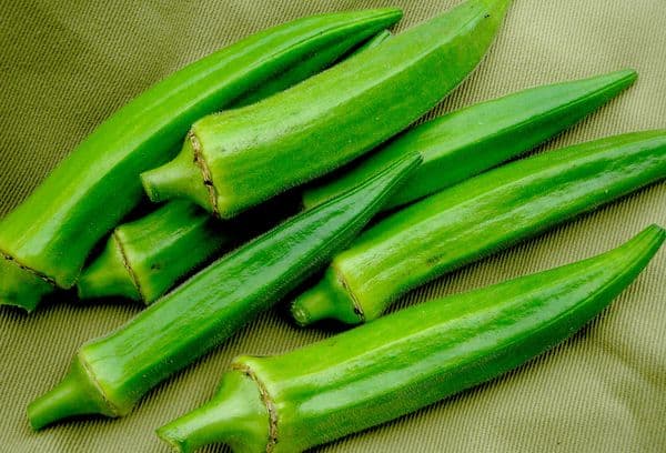 Okra-Früchte