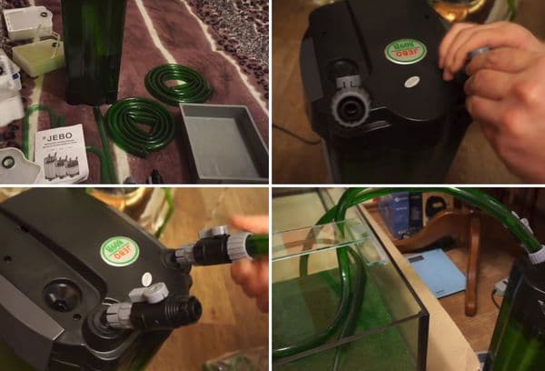 Installation des Filters im Aquarium