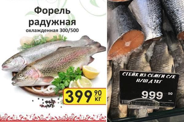 Preis von Forelle und Lachs