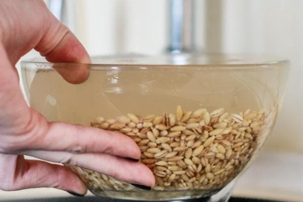 Einweichen von Graupen vor dem Kochen