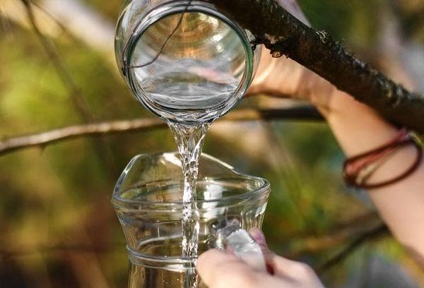 Frischer Birkensaft