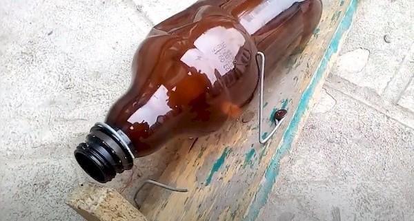 Mausefalle aus einer Flasche - Methode 2