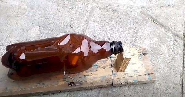 Mausefalle aus einer Flasche - Methode 2