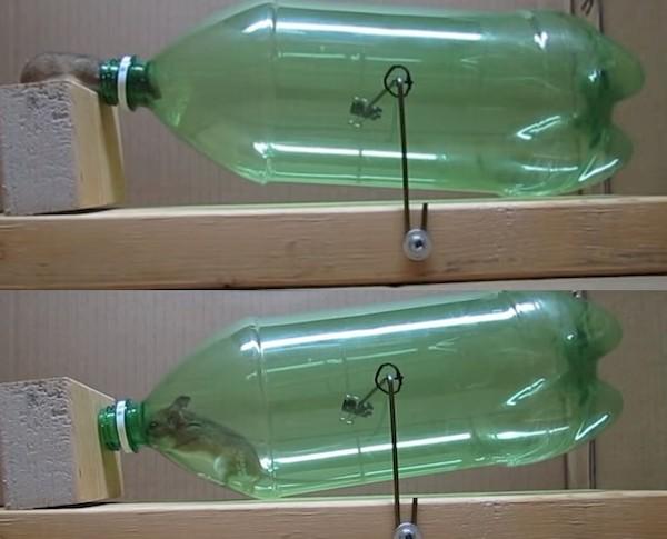 Mausefalle aus einer Flasche - Methode 2