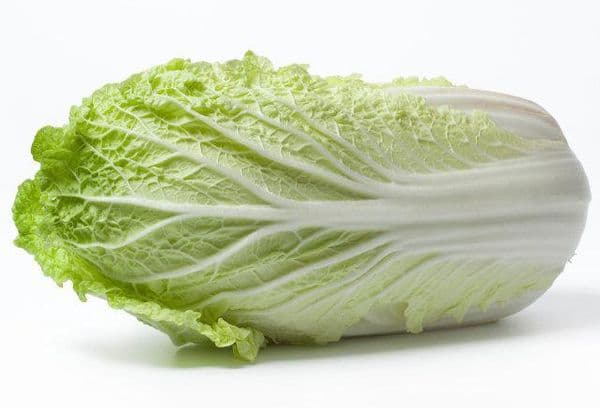 Kopf Chinakohl
