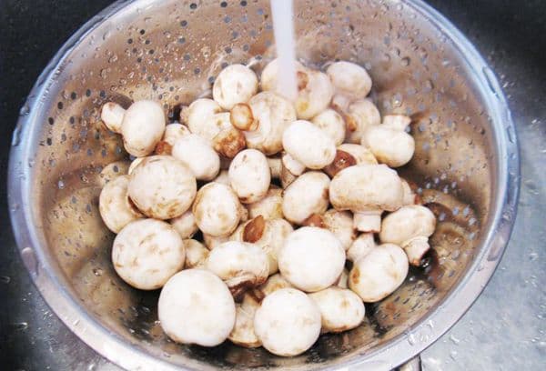 das Waschen der Pilze vor dem Kochen