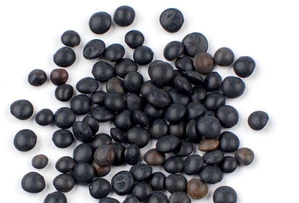 schwarze Linse
