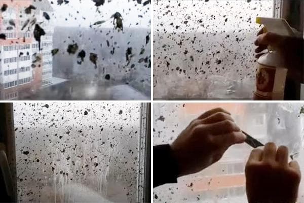 Entfernung von Zementflecken vom Fenster