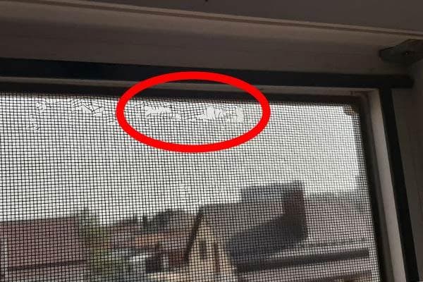 Insektenschutzgitter für Kunststofffenster
