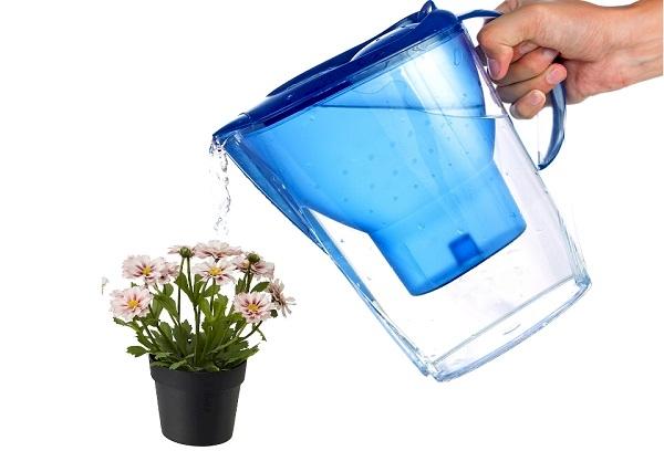 Filtrieren von Wasser