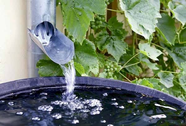 Regenwasser