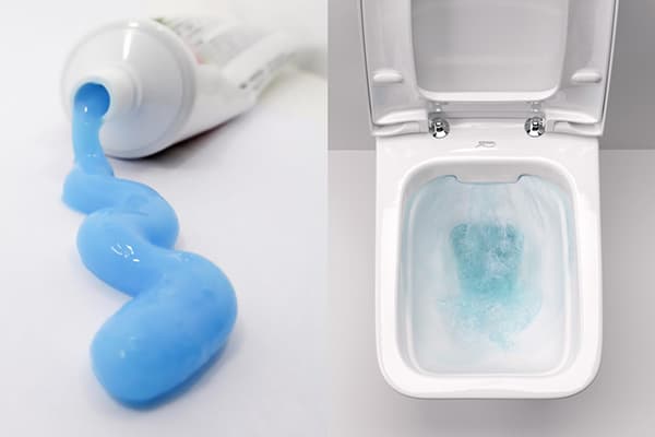 Dentifrice pour la fraîcheur des toilettes