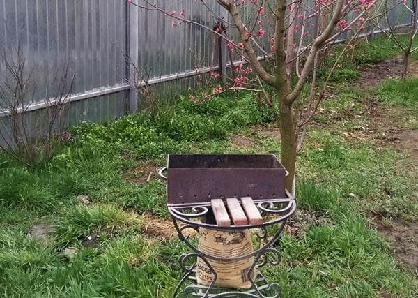 Grill und Kohle